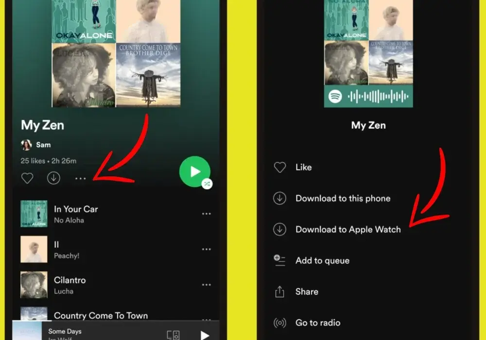 Jak pobrać piosenkę z Spotify i cieszyć się muzyką offline