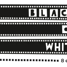 Czy Black & White Festival przemaluje Kraków? Sprawdzamy to!