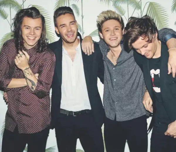 Ile kosztuje bilet na koncert One Direction? Zaskakujące ceny!